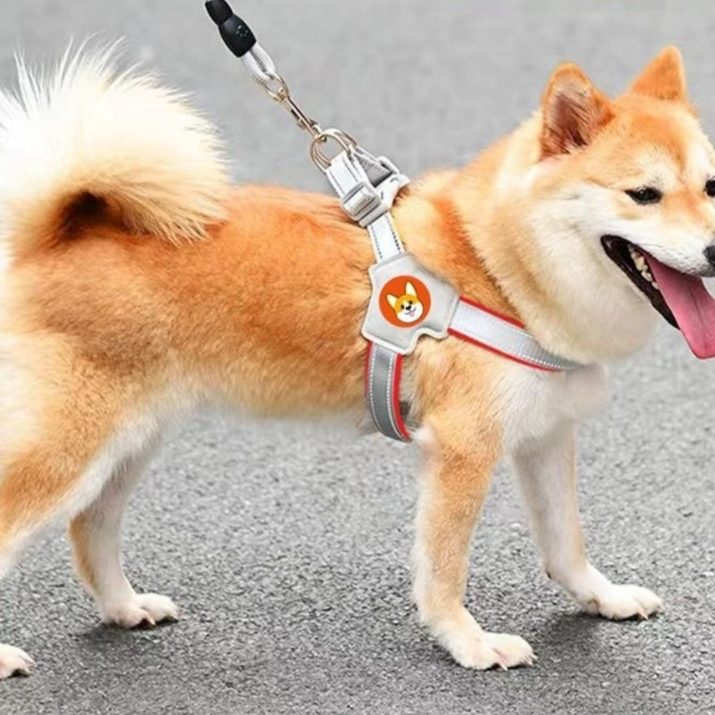 Breathable Dog Harness and Reflective Leash Set by ByAzora