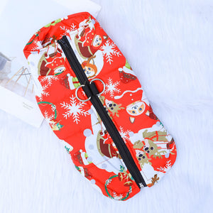 Cozy cotton winter clothes for small dogs