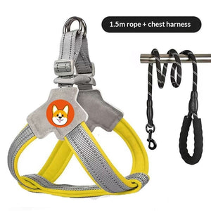 Reflective Round Black Leash for Dog Walking
