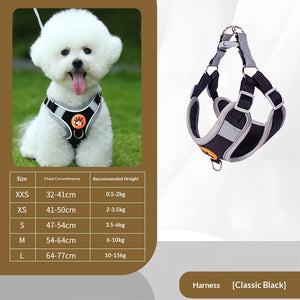 Vibrant Orange Polyester Dog Harness with Matching Leash Option