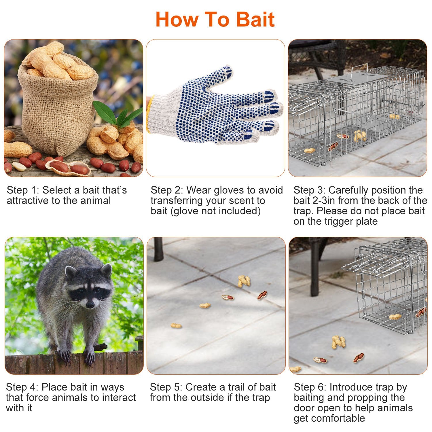 live trap for armadillo and small animals outdoors