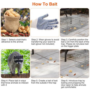 live trap for armadillo and small animals outdoors