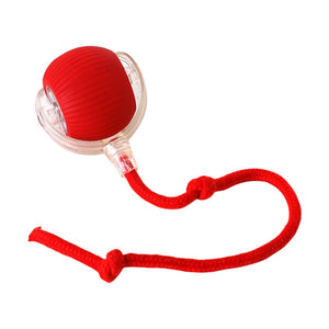 Automatic rotating rolling ball for indoor cats