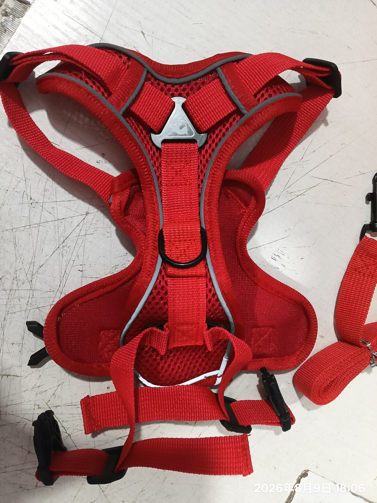 Breathable Nylon Cat Chest Harness with Metal D-Rings