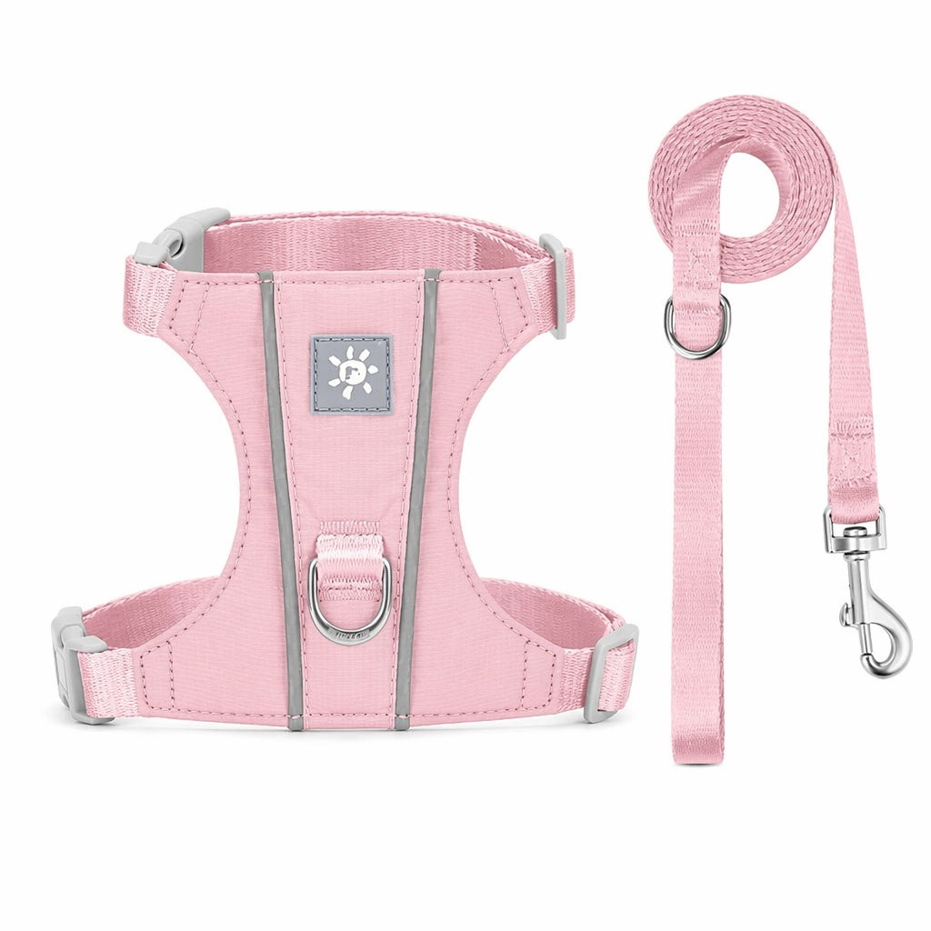 Reflective Kitten Harness with Adjustable Straps