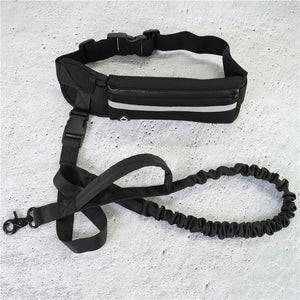 Shock Absorbing Bungee Dog Leash
