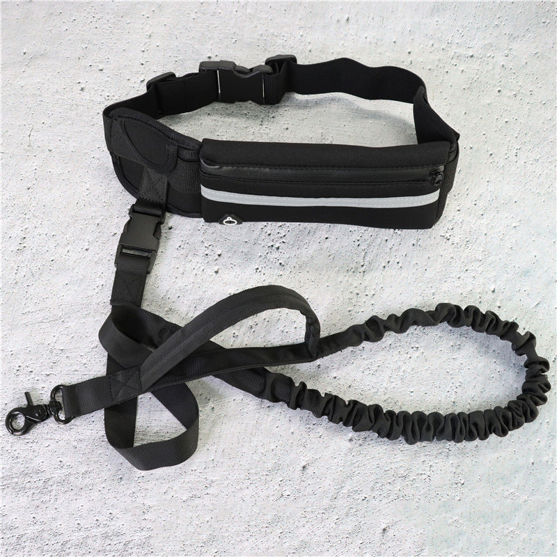 Shock Absorbing Bungee Dog Leash