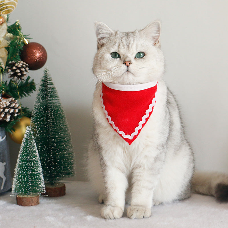 Cute Christmas dog and cat accessories with festive scarf and hat set