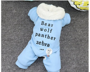Black and blue stylish dog winter clothes