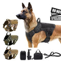 luxury camouflage dog harness and leash set for outdoor training