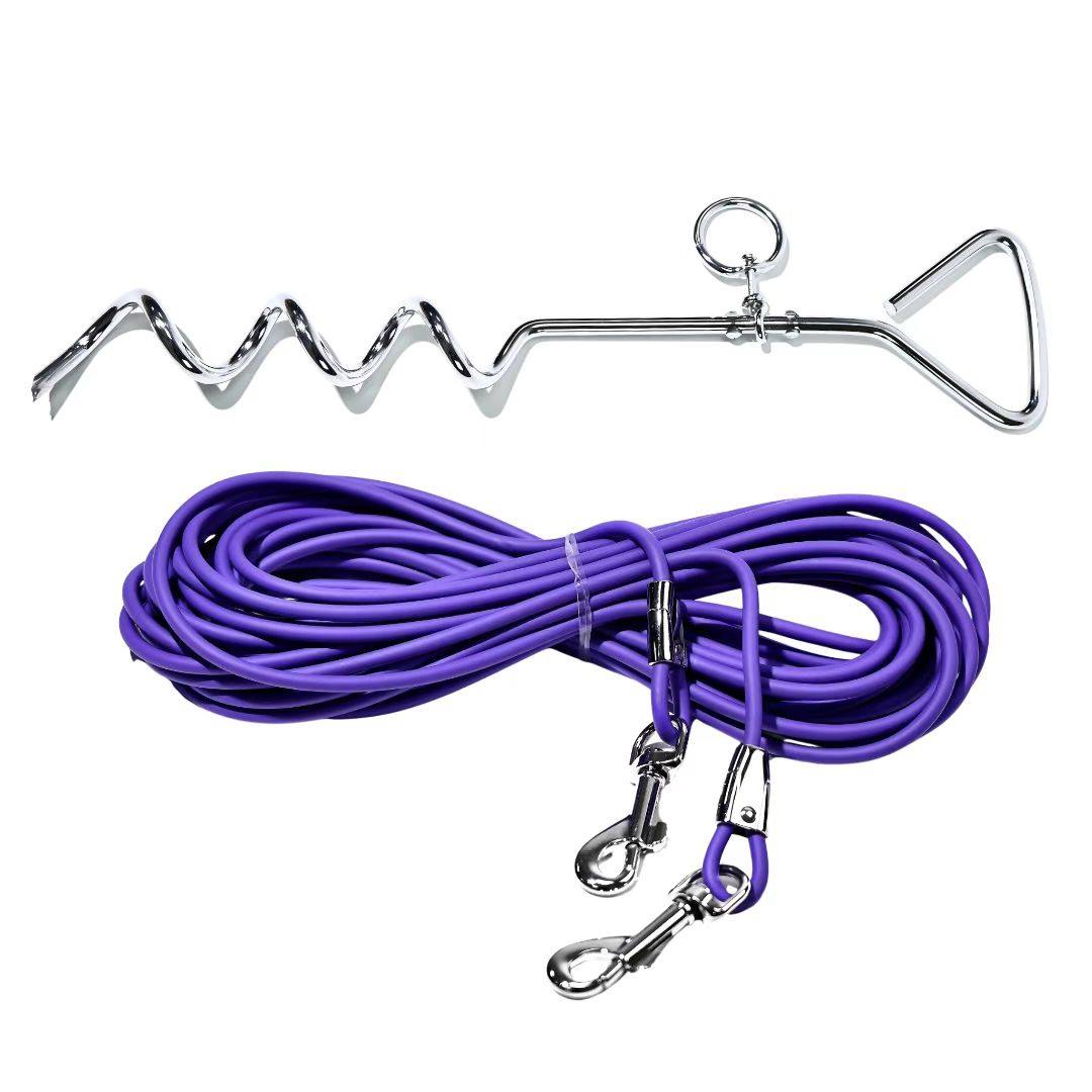 Camping dog leash stake system for secure outdoor control