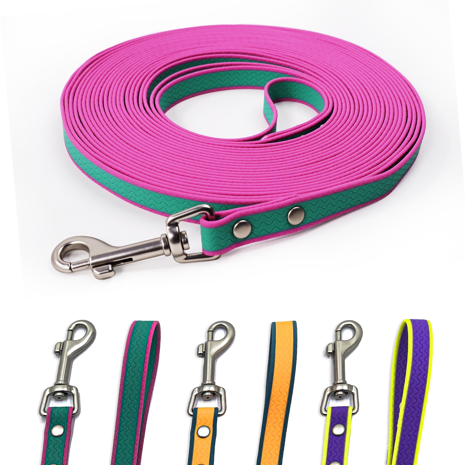 Camping dog training lead for outdoor adventures