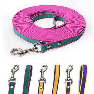 Camping dog training lead for outdoor adventures