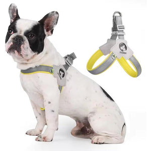 Adjustable cat harness with leash set