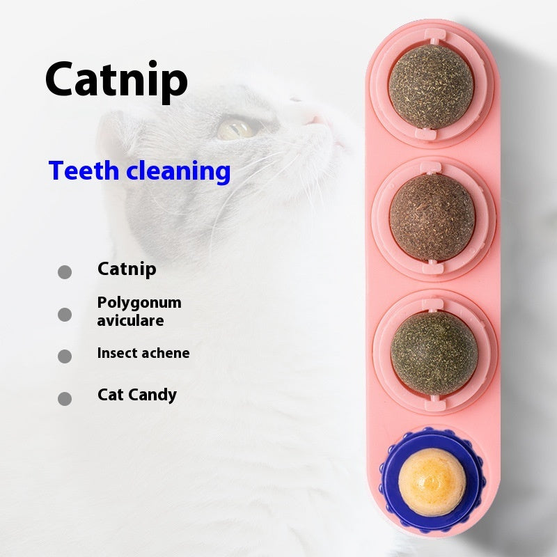 Catnip lick ball entertainment toy for cats