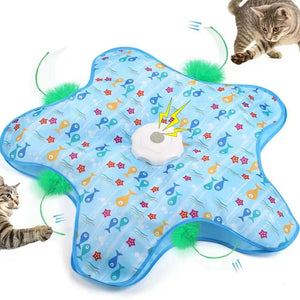 Interactive hide and seek cat toy main product view