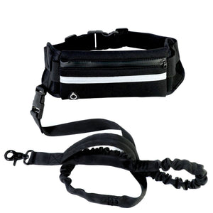 Hands Free Leash for Large Dogs