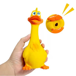 Cute duck puppy toy for chewing and fetching