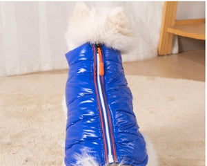 Cute bear strap dog clothing with plush ball