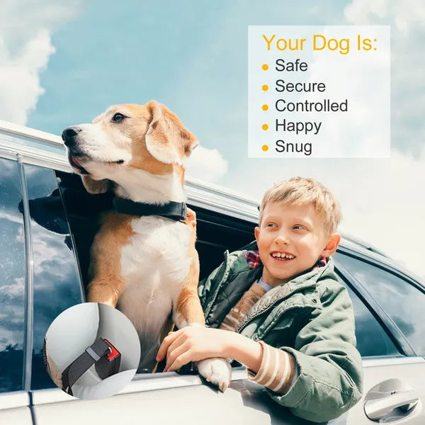 Pet dog and cat safety harness for car rides