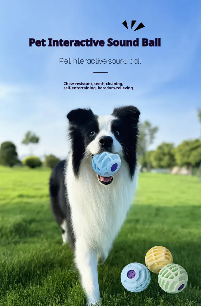 Dog and cat entertainment squeaky ball toy