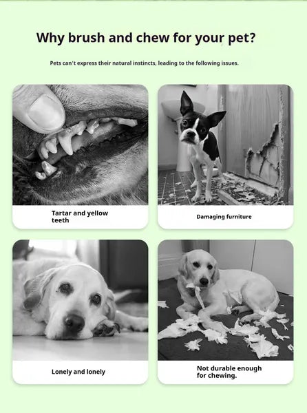 Durable dog dental chew toy for healthy teeth