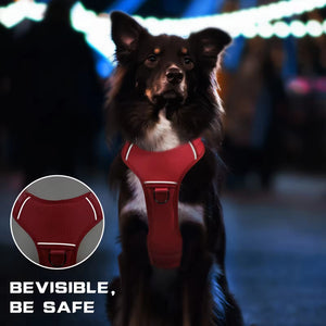 Dog harness with dual handles for better control and safety