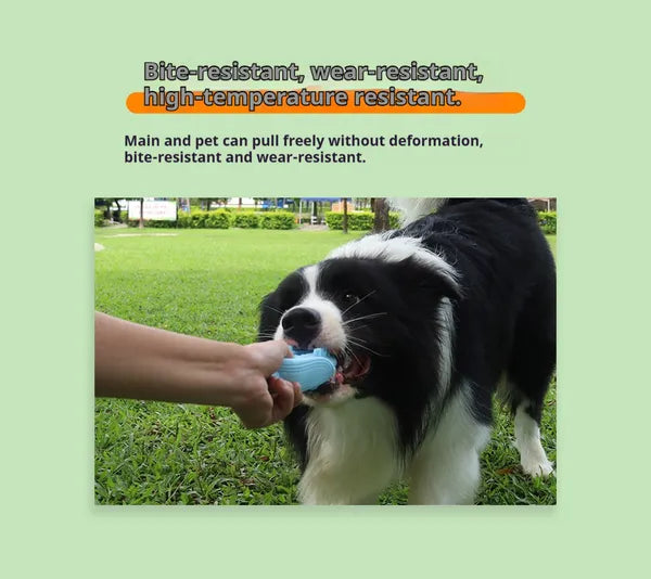 Dog teeth cleaning toy with textured chewing surface