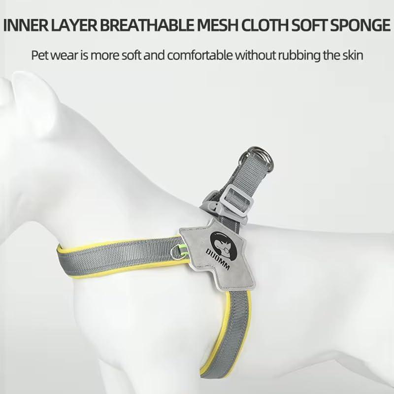 Dog walking harness for outdoor activities