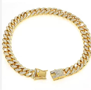 dog wearing luxury alloy chain stylish pet accessory