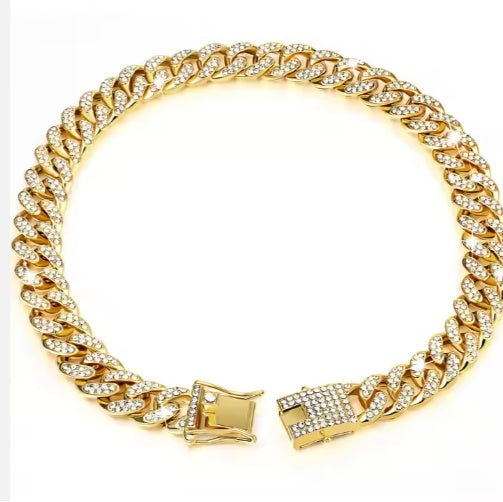 dog wearing luxury alloy chain stylish pet accessory