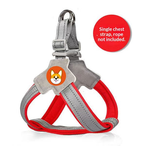 Breathable Dog Harness and Leash Set in Multiple Colors