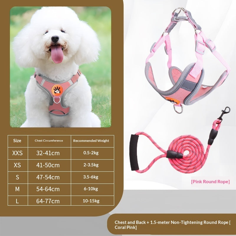 Lightweight Vest-Style Harness for Daily Dog Walking
