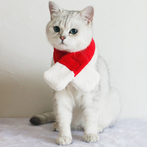 Santa Claus Christmas cape for dogs and cats