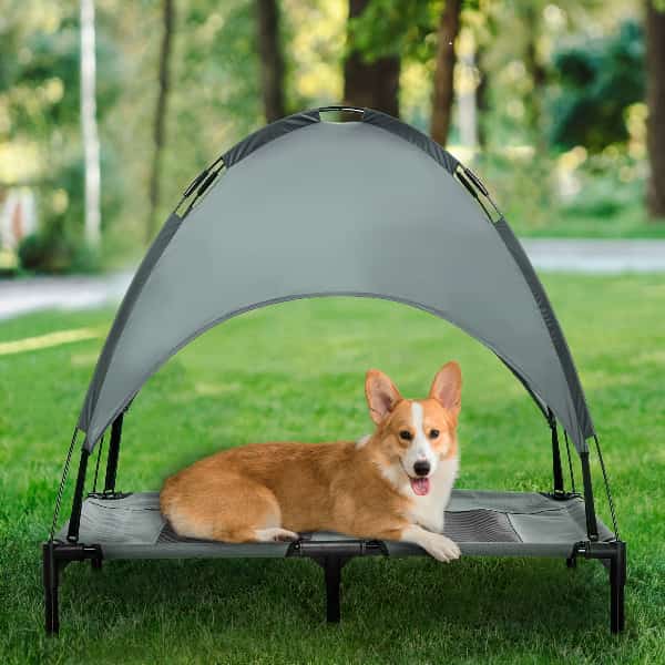 Elevated outdoor dog bed with removable canopy