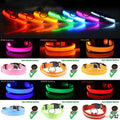 LED Light-Up Dog Collar for Nighttime Walks