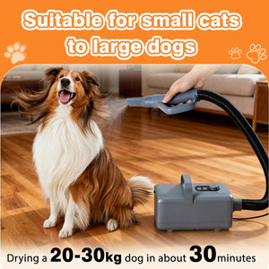 fast drying dog blower for home pet grooming