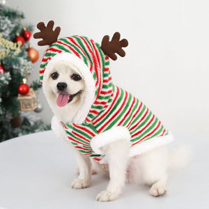Adorable Christmas outfit for small breed dogs