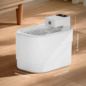 : Multi layer filtered pet water fountain