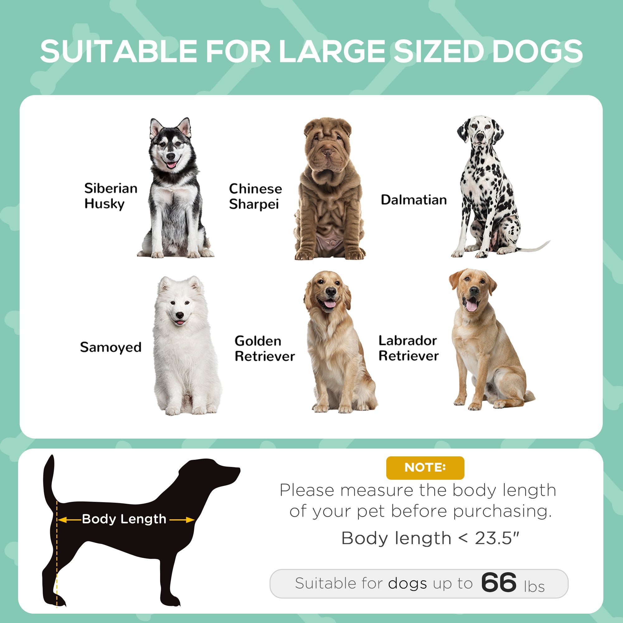 Foldable elevated dog lounge bed for camping