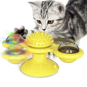 Fun interactive cat entertainment toy set