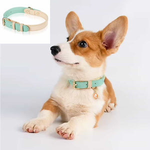 Genuine leather adjustable dog collar