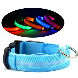 glowing LED dog collar for safe night walks