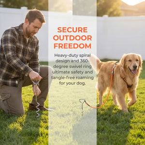 Ground stake fixed dog leash for outdoor play and camping