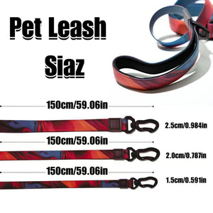 Heat transfer printed pet leash with colorful modern design
