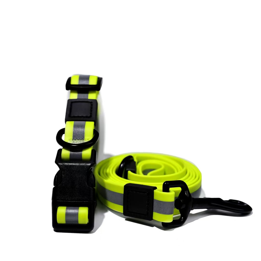 High visibility dog leash for night walks and training