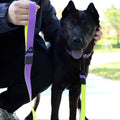 Honeycomb embossed dual-color waterproof dog leash set for daily walking