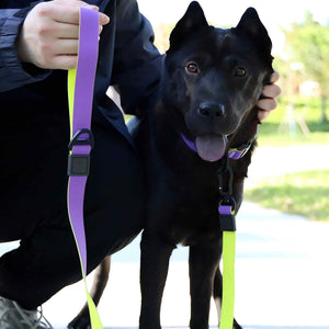 Honeycomb embossed dual-color waterproof dog leash set for daily walking