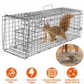 humane raccoon trap cage for safe catch and release