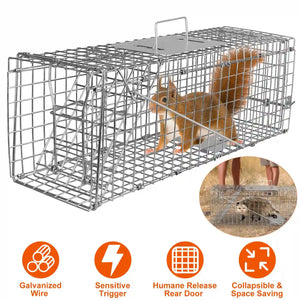 humane raccoon trap cage for safe catch and release